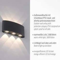 Applique murale Paul Neuhaus CARLO LED Anthracite, 6 lumières