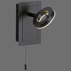 Applique murale Paul Neuhaus SILEDA Anthracite, 1 lumière