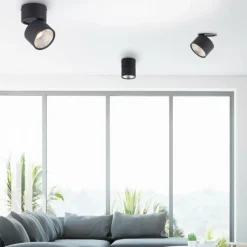 Applique murale Paul Neuhaus PURE-NOLA LED Noir, 1 lumière