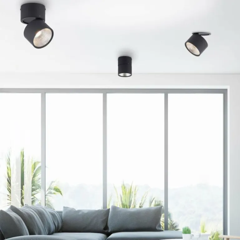 Applique murale Paul Neuhaus PURE-NOLA LED Noir, 1 lumière