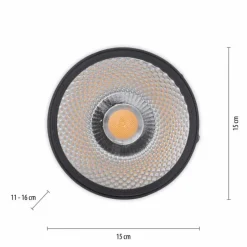 Applique murale Paul Neuhaus PURE-NOLA LED Noir, 1 lumière