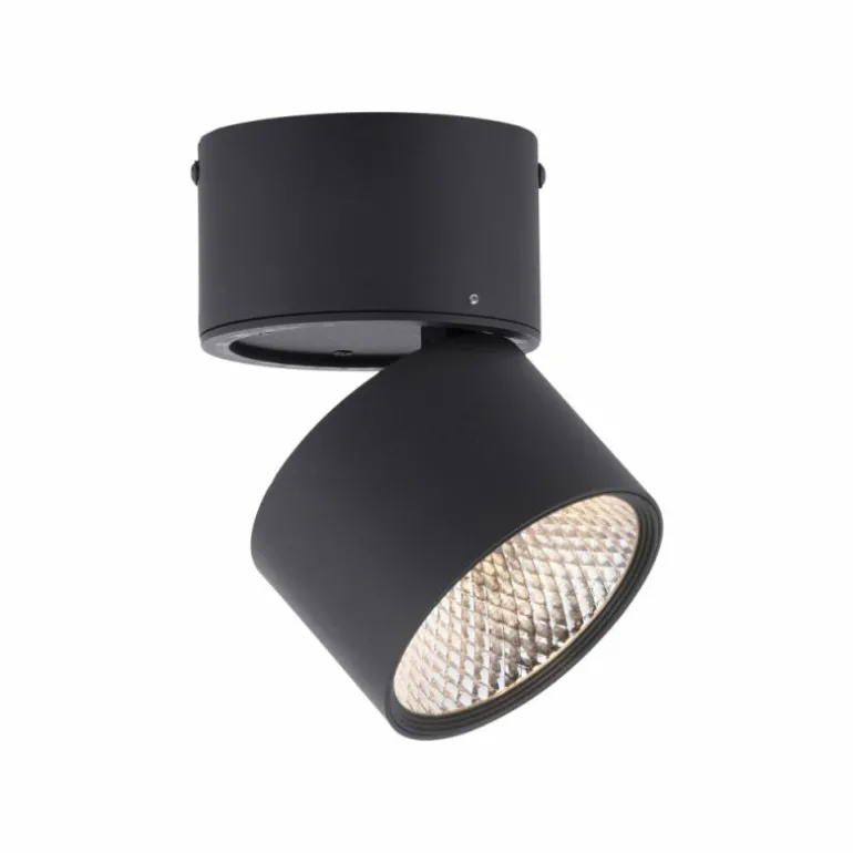 Applique murale Paul Neuhaus PURE-NOLA LED Noir, 1 lumière