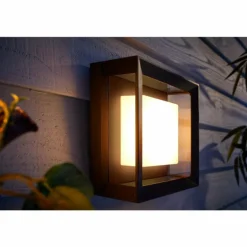 Applique murale Philips Hue Ambiance White & Color Econic LED Noir, 1 lumière, Changeur de couleurs