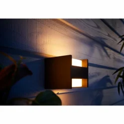 Applique murale Philips Hue White Fuzo LED Noir, 1 lumière