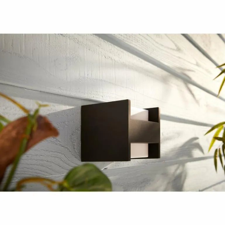 Applique murale Philips Hue White Fuzo LED Noir, 1 lumière