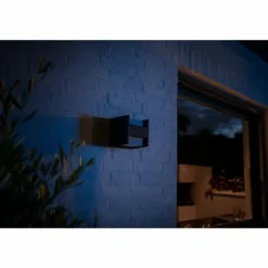 Applique murale Philips Hue White Fuzo LED Noir, 1 lumière