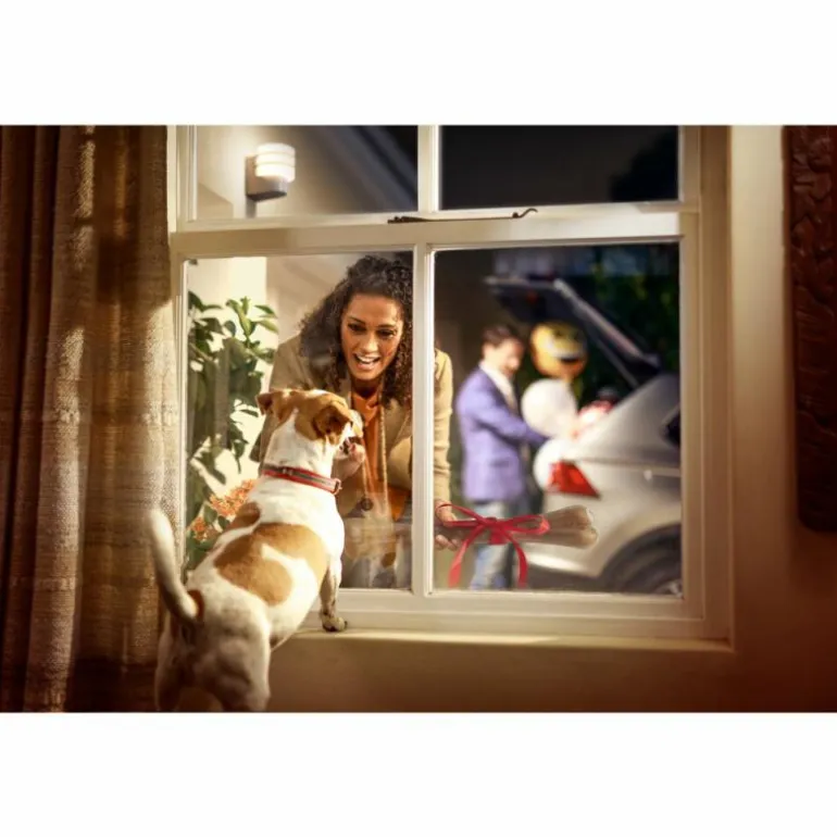 Applique murale Philips Hue White Tuar LED Aluminium, Argenté, 1 lumière