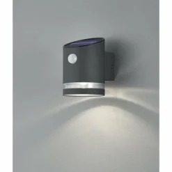 Applique murale Reality Salta LED Anthracite, 1 lumière, Détecteur de mouvement