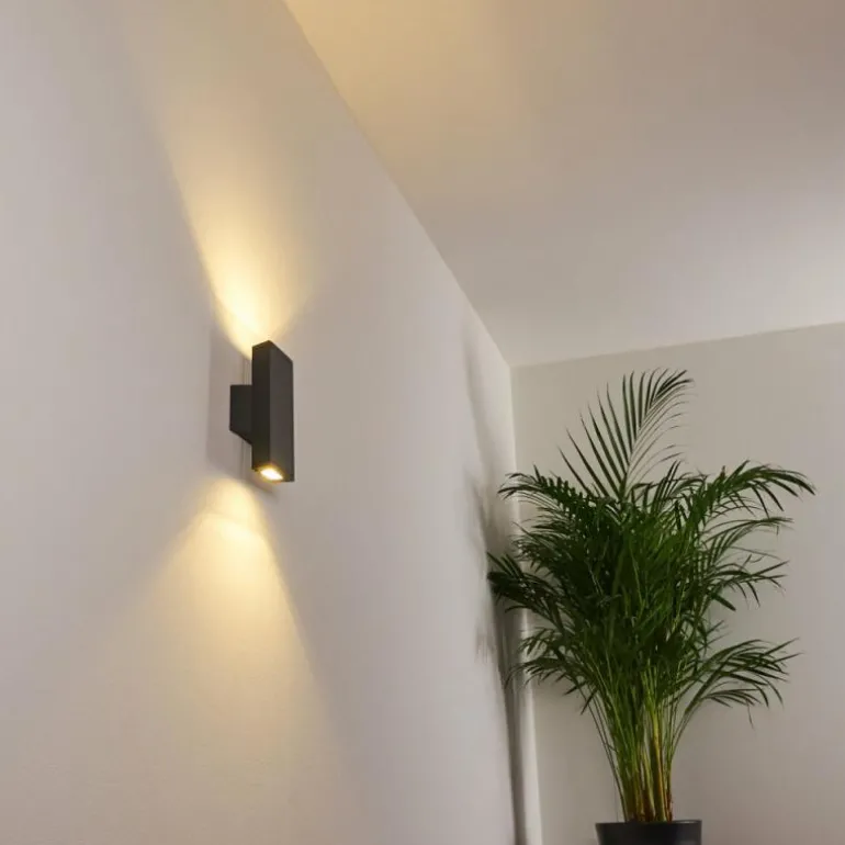 Applique murale Roseau LED Anthracite, 1 lumière