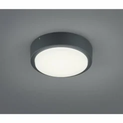 Applique murale Trio BREG LED Anthracite, 1 lumière