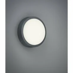 Applique murale Trio BREG LED Anthracite, 1 lumière