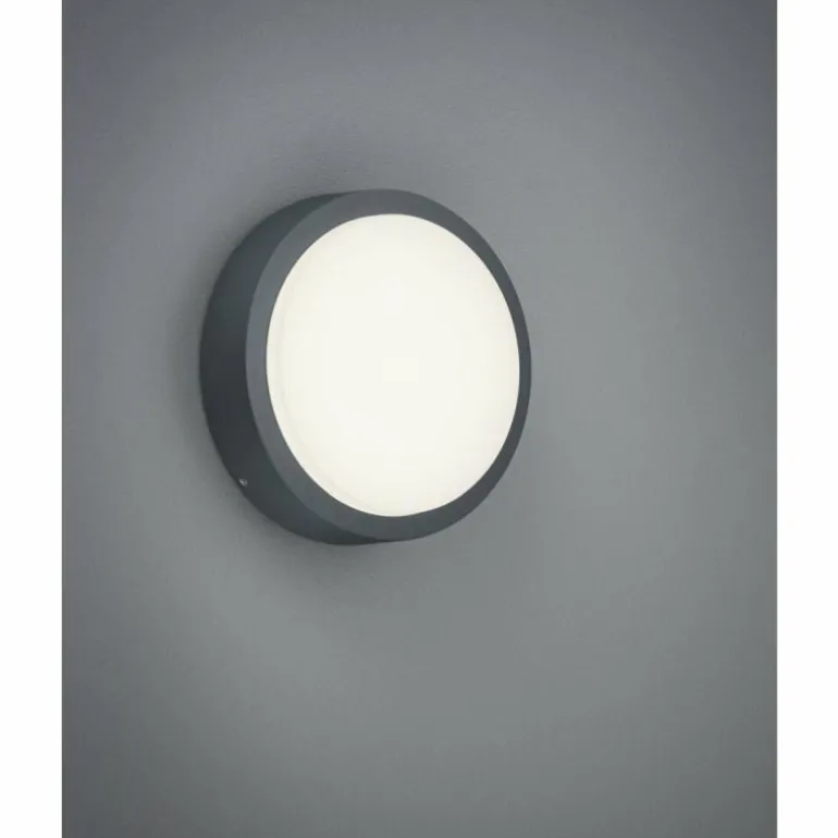 Applique murale Trio BREG LED Anthracite, 1 lumière