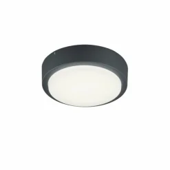 Applique murale Trio BREG LED Anthracite, 1 lumière