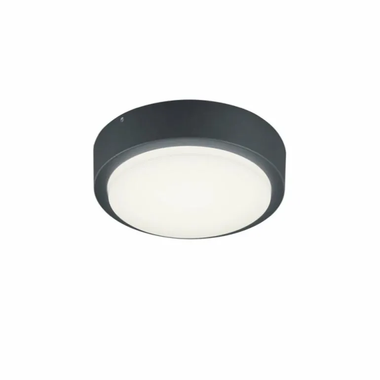 Applique murale Trio BREG LED Anthracite, 1 lumière