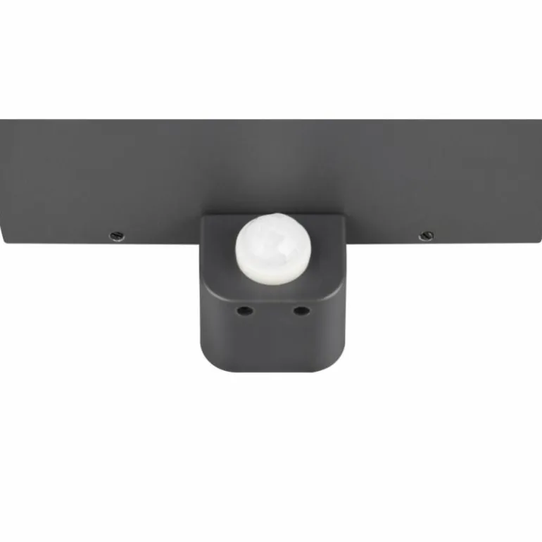 Applique murale Trio GARONNE Anthracite, 1 lumière, Détecteur de mouvement
