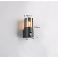 Applique murale Trio HOOSIC Noir, 1 lumière, Détecteur de mouvement