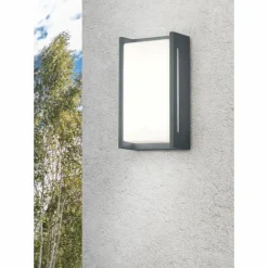 Applique murale Trio INDUS LED Anthracite, 1 lumière