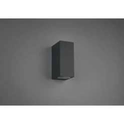 Applique murale Trio Roya Anthracite, 2 lumières