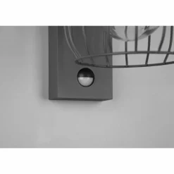Applique murale Trio-Leuchten Tuela Anthracite, 1 lumière, Détecteur de mouvement