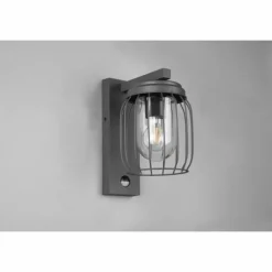 Applique murale Trio-Leuchten Tuela Anthracite, 1 lumière, Détecteur de mouvement