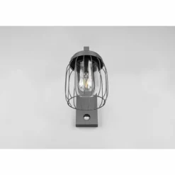 Applique murale Trio-Leuchten Tuela Anthracite, 1 lumière, Détecteur de mouvement