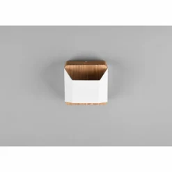 Applique murale Trio-Leuchten Arino LED Blanc, 1 lumière