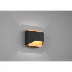 Applique murale Trio-Leuchten Arino LED Noir, 1 lumière