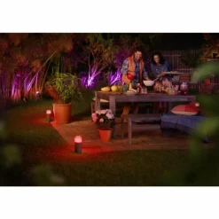 Borne d'éclairage, kit d'extension Philips Hue Ambiance White & Color Calla LED Noir, 1 lumière, Changeur de couleurs