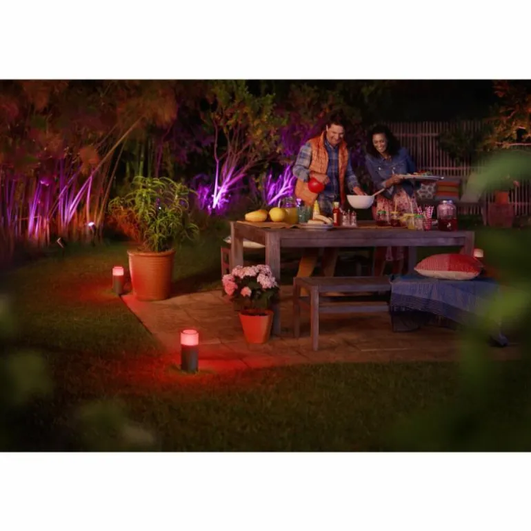 Borne d'éclairage, kit d'extension Philips Hue Ambiance White & Color Calla LED Noir, 1 lumière, Changeur de couleurs