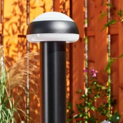 Borne lumineuse Vinara LED Noir, 1 lumière