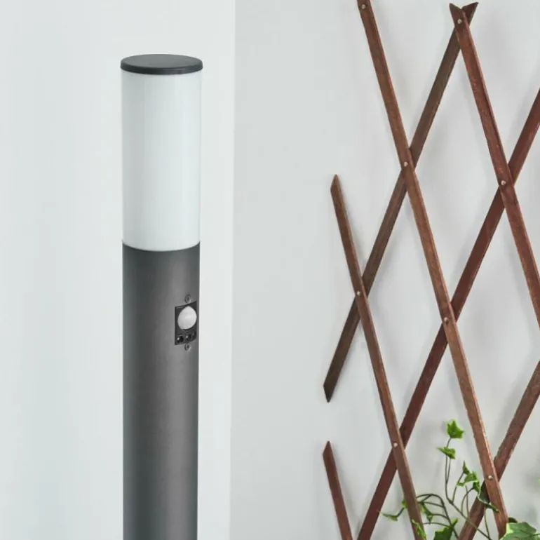 Borne lumineuse Caserta Anthracite, 1 lumière, Détecteur de mouvement