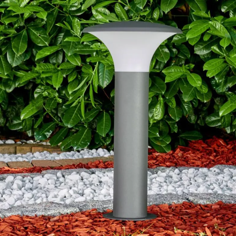 Borne lumineuse Chelmsford LED Anthracite, 1 lumière