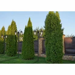 Borne lumineuse Globo ADELHEID Noir, 3 lumières