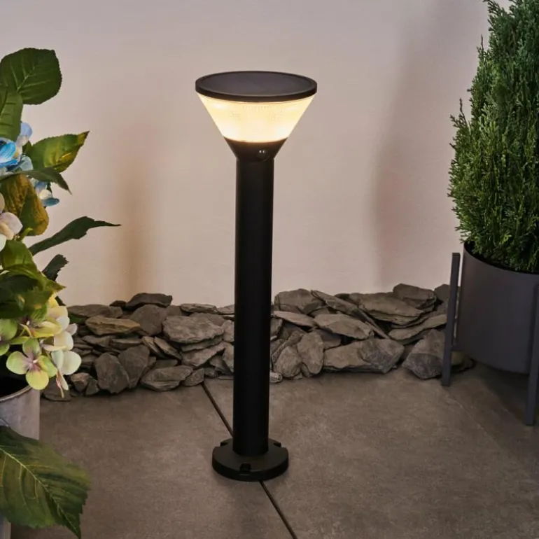 Borne lumineuse Joennierni LED Noir, 1 lumière, Détecteur de mouvement, Changeur de couleurs