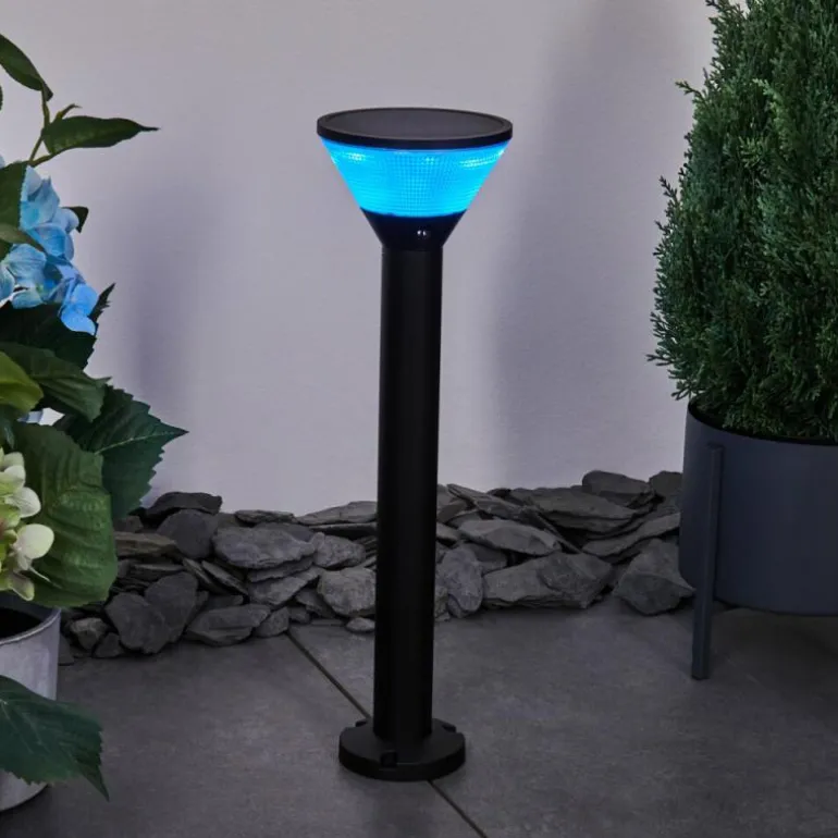 Borne lumineuse Joennierni LED Noir, 1 lumière, Détecteur de mouvement, Changeur de couleurs