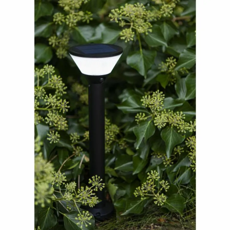 Borne lumineuse Lutec KARLO LED Noir, 1 lumière, Détecteur de mouvement, Changeur de couleurs