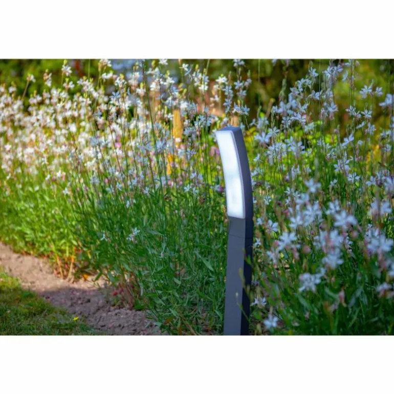 Borne lumineuse Lutec Kira LED Anthracite, 1 lumière