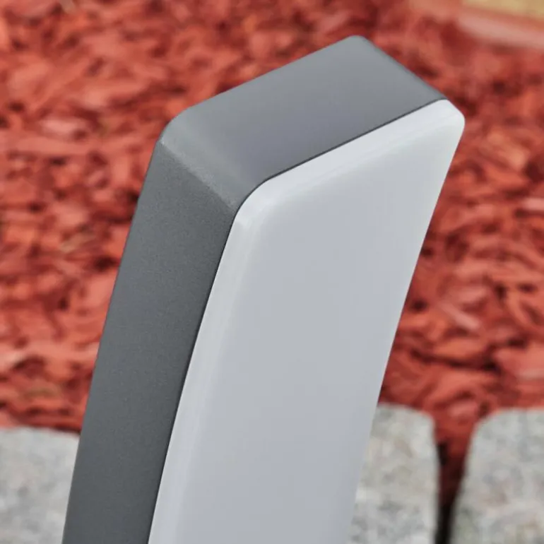 Borne lumineuse Maseru LED Anthracite, 1 lumière