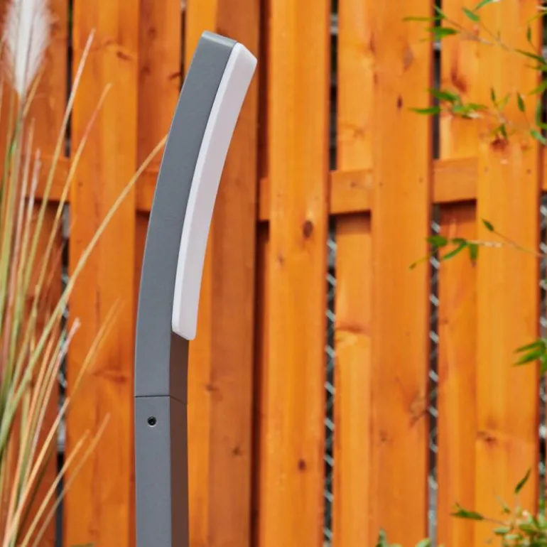 Borne lumineuse Maseru LED Anthracite, 1 lumière