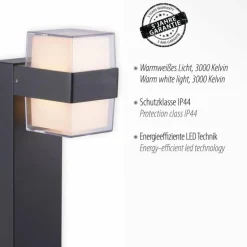 Borne lumineuse Paul-Neuhaus CARA LED Anthracite, 2 lumières