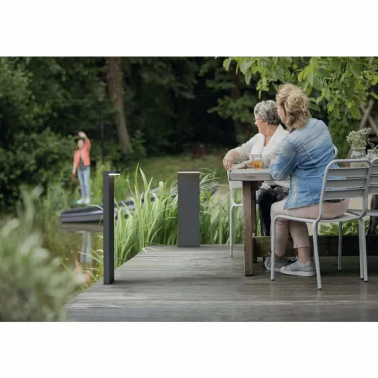 Borne lumineuse Philips Bustan LED Anthracite, 2 lumières