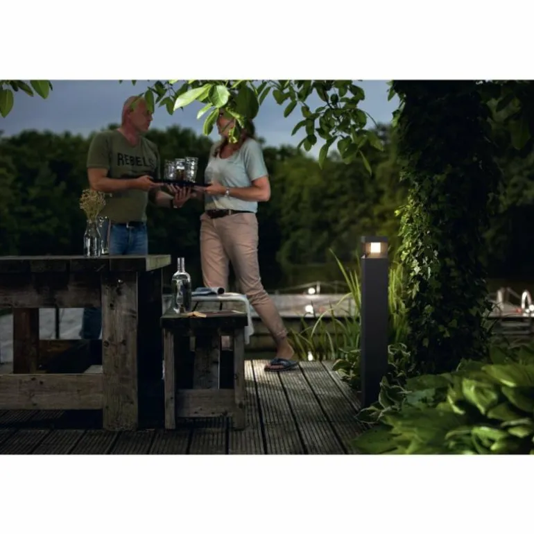 Borne lumineuse Philips Parterre LED Noir, 1 lumière