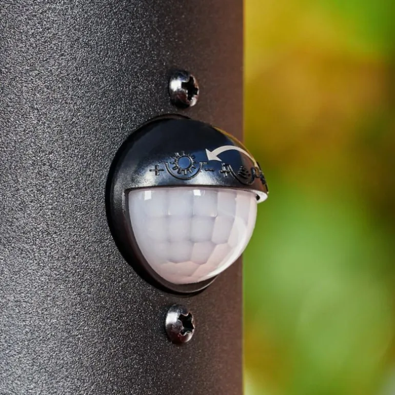 Borne lumineuse Sumalao Noir, 1 lumière, Détecteur de mouvement