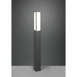 Borne lumineuse Trio Fuerte LED Anthracite, 1 lumière