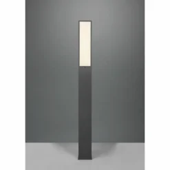 Borne lumineuse Trio Fuerte LED Anthracite, 1 lumière