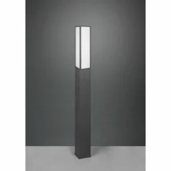 Borne lumineuse Trio Fuerte LED Anthracite, 1 lumière