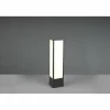 Borne lumineuse Trio Fuerte LED Anthracite, 1 lumière