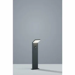 Borne lumineuse Trio PEARL LED Anthracite, 1 lumière, Détecteur de mouvement