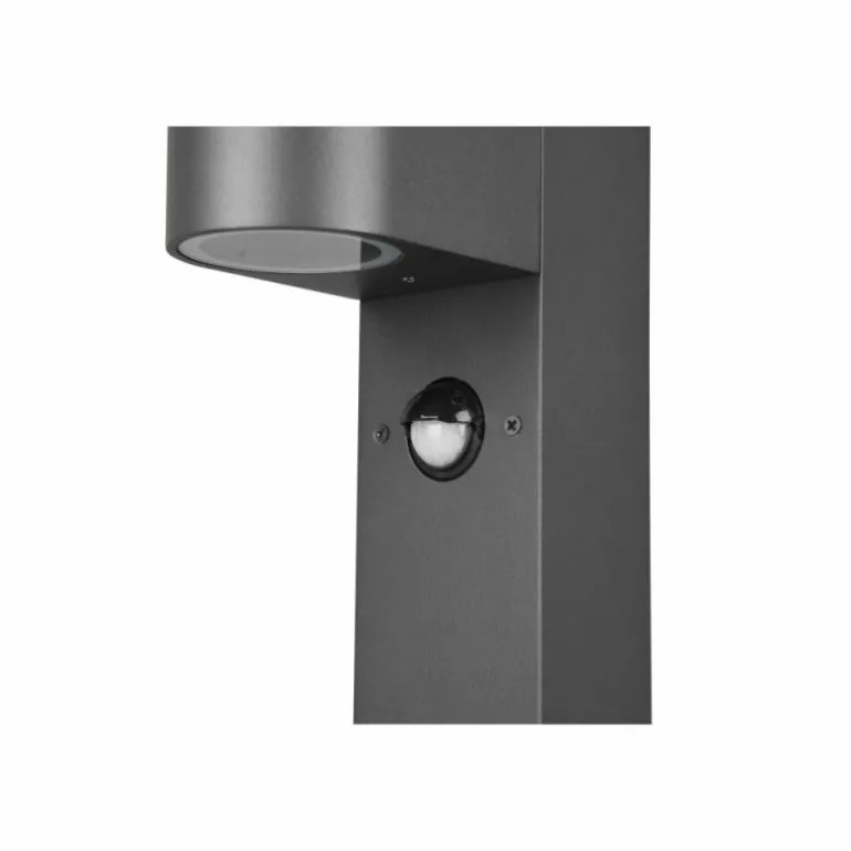 Borne lumineuse Trio Roya Anthracite, 1 lumière, Détecteur de mouvement