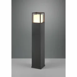 Borne lumineuse Trio Witham LED Anthracite, 1 lumière